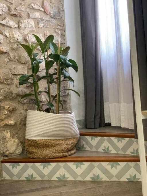 Peñíscola Casa Ziba Casco Antiguo Wifiaa 아파트 외부 사진